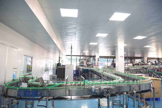 厦门即食燕窝代工厂实地探访 产业集群效应凸显，技术开发与咨询成核心竞争力