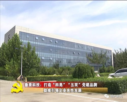 鲁青科技 打造“四亮五双”党建品牌，以技术开发与咨询助推企业引领良好循环